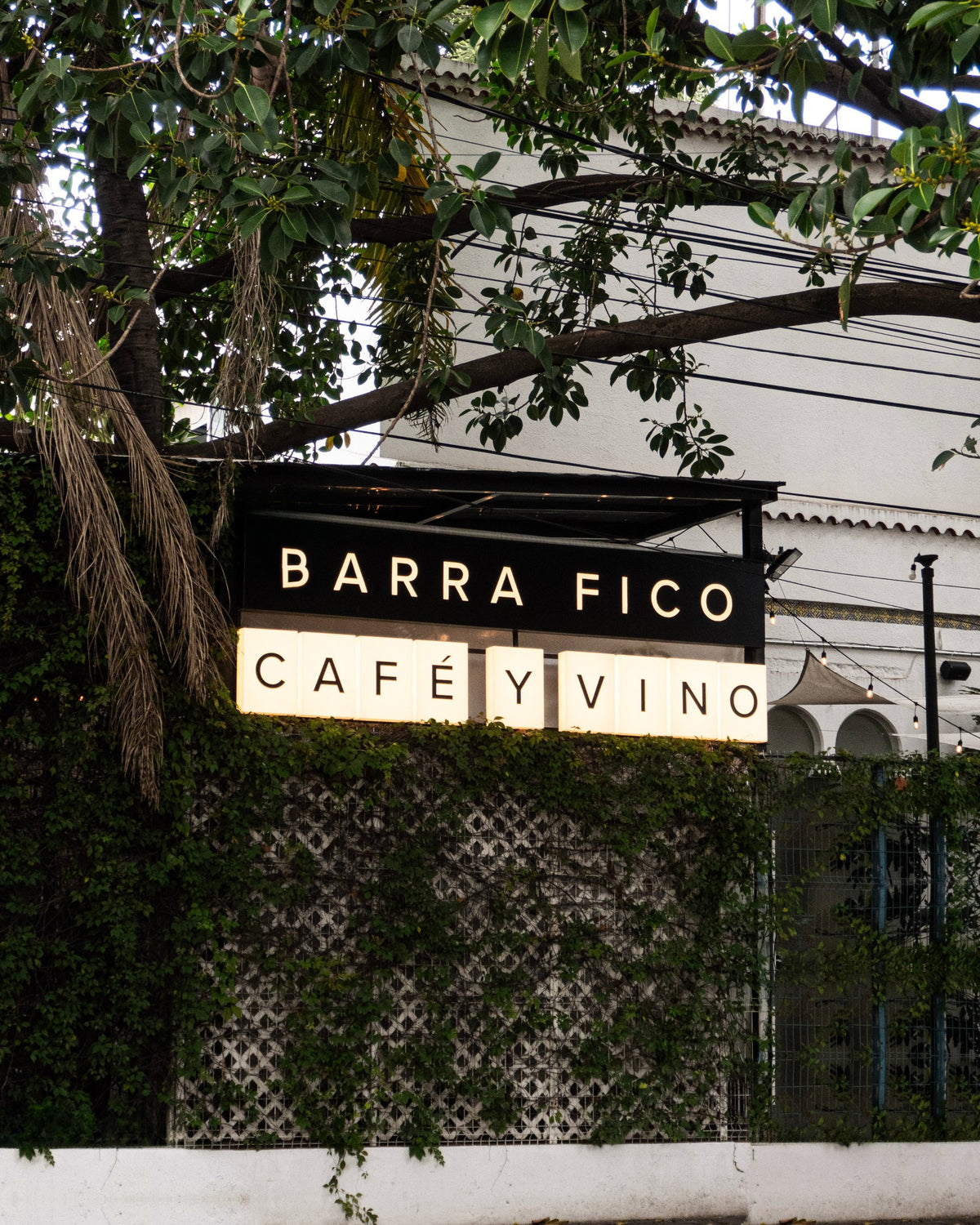 Barra Fico